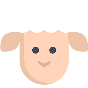 Mulesing Free Wool